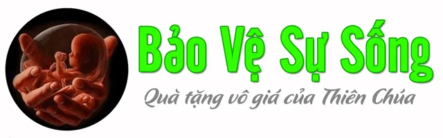 Caritas Thanh Hóa: “ Khóa Tập Huấn Tham Vấn Bảo Vệ Sự Sống Giáo Tỉnh Hà Nội Do Caritas Việt Nam Tổ Chức”