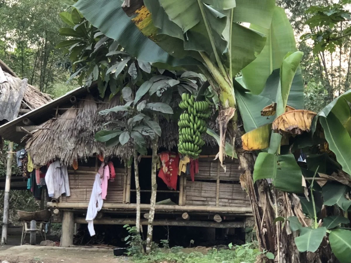 HÀNH TRÌNH ĐÁNH THỨC MÙA XUÂN