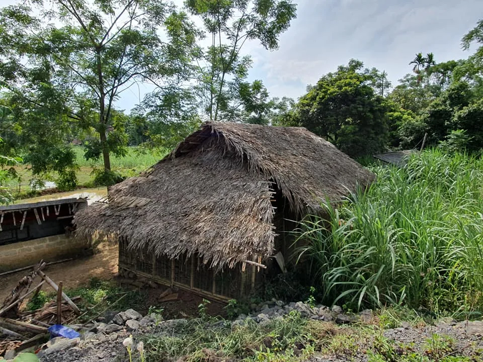 NGÔI NHÀ CỦA LÒNG NHÂN ÁI