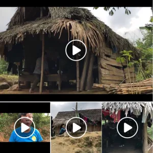 Nghèo mà vui!