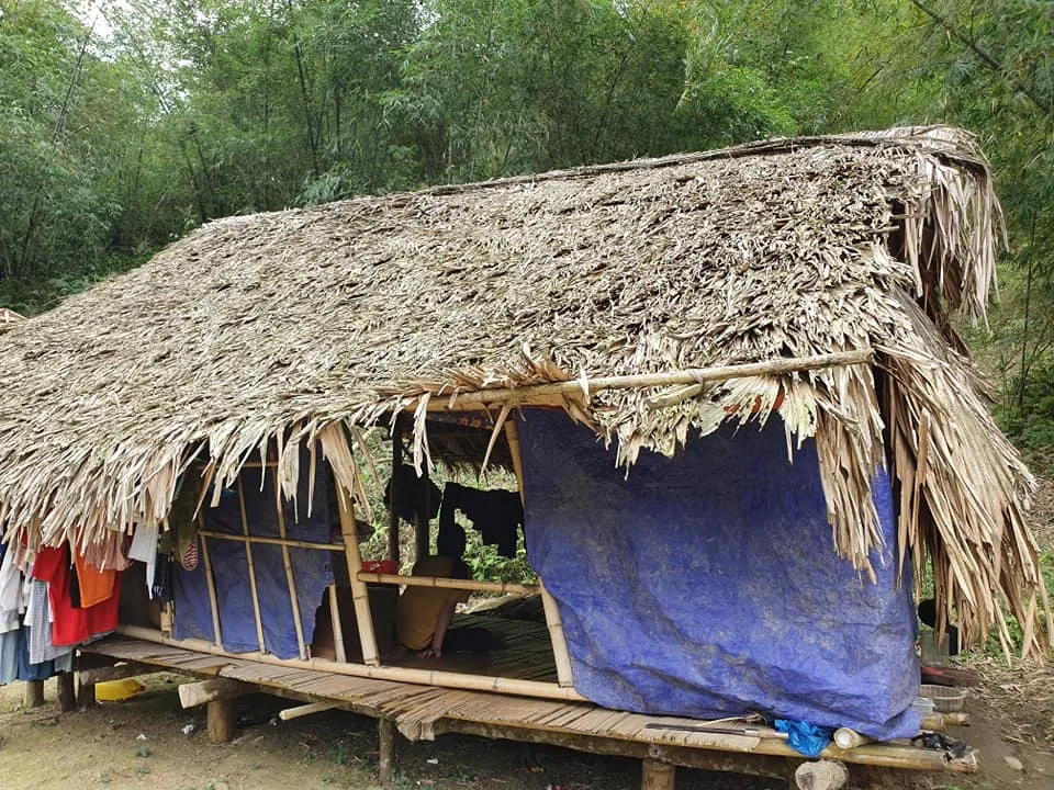 GIA CẢNH NHÀ ANH VI VĂN HINH