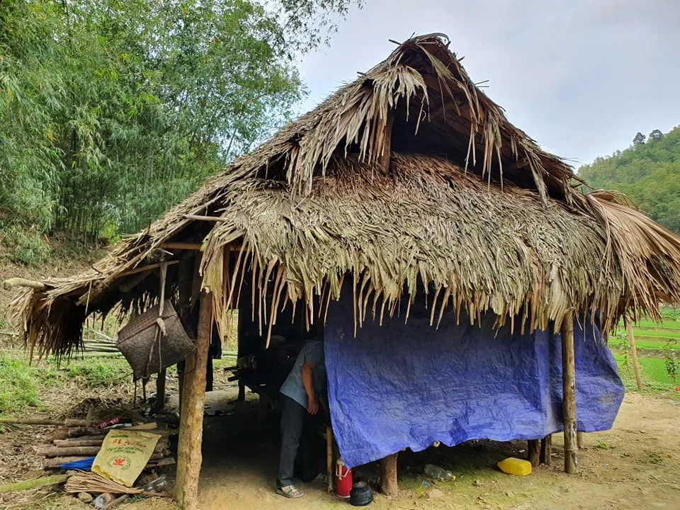 GIA CẢNH NHÀ ANH VI VĂN HINH